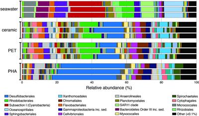 Shotgun Metagenomics Reveals the Benthic Microbial Community Response to Plastic and Bioplastic in a Coastal Marine Environment